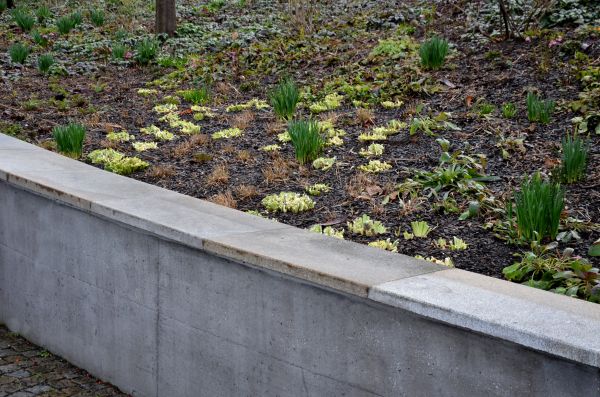 Concrete Wall Construction in San Antonio