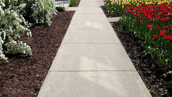 Cement Sidewalk Installation in San Antonio