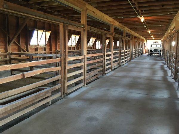 Barn Slab Construction in San Antonio