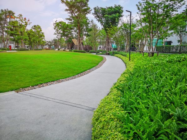 Cement Walkway Service in San Antonio