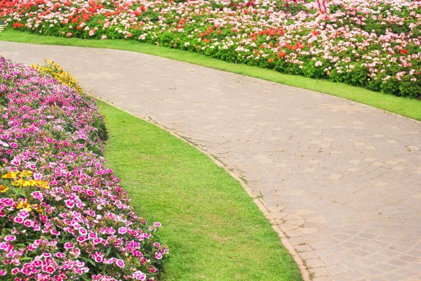 Concrete Walkway Service in San Antonio